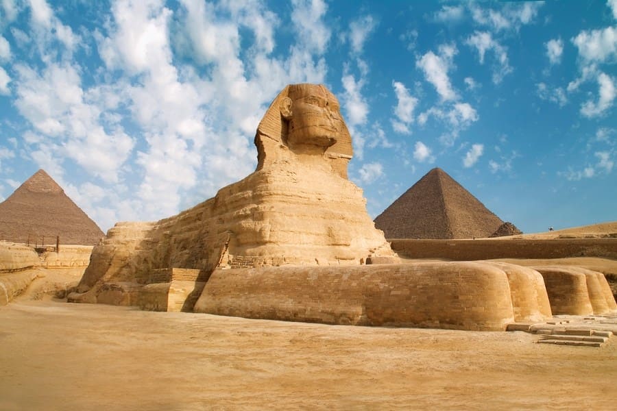 Правила ввоза животных в Египет