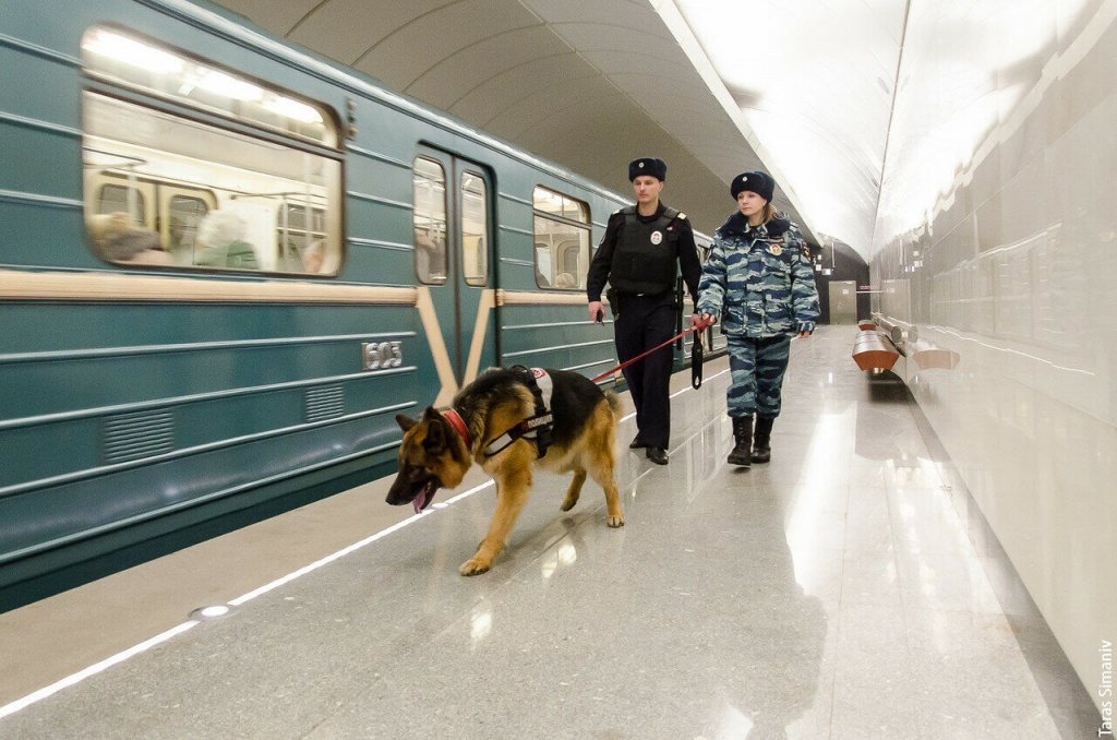 Правила перевозки животных в метро москвы 2021