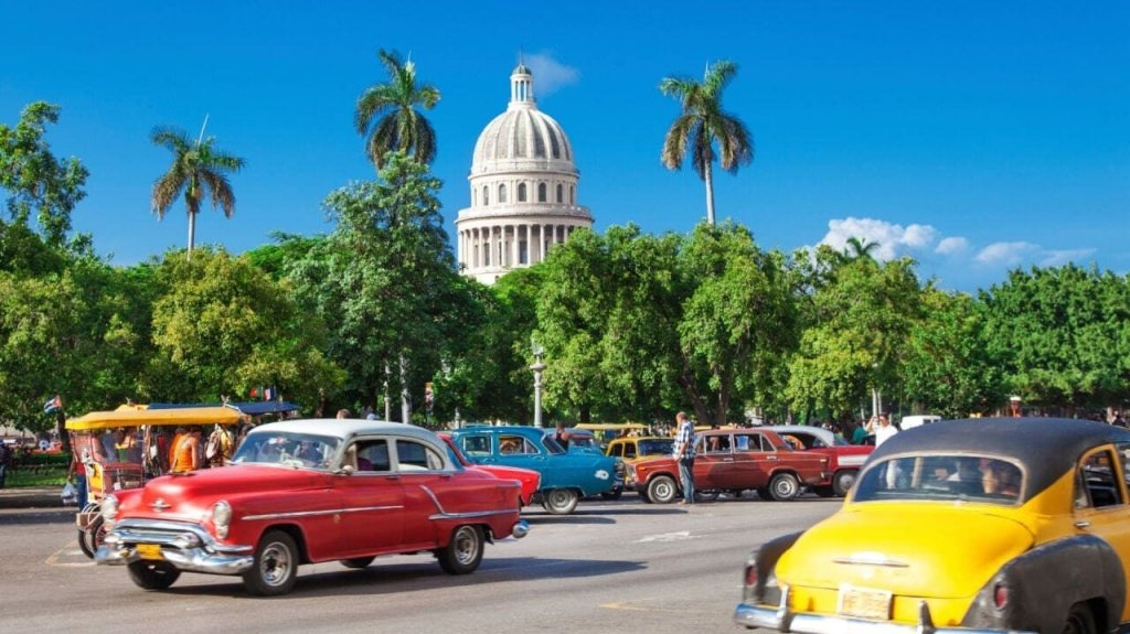 Перевозка животных на Кубу
