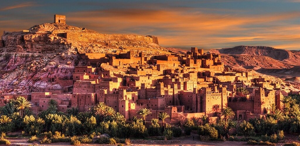 Марокко: ввоз животных