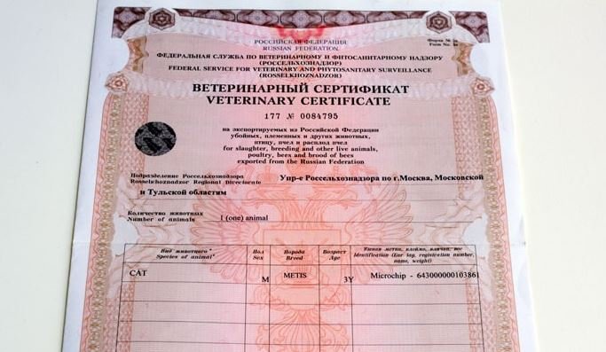 Veterinarnyy-sertifikat.jpg