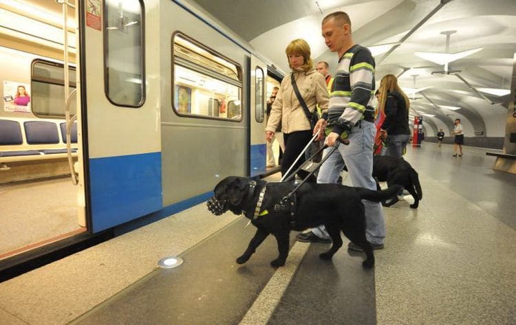 Перевозка крупных собак в метро